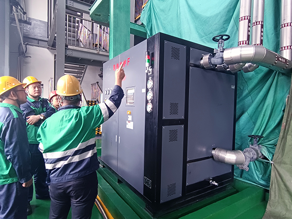 液相有機(jī)熱載體鍋爐低壓差保護(hù)是什么？關(guān)鍵作用解析